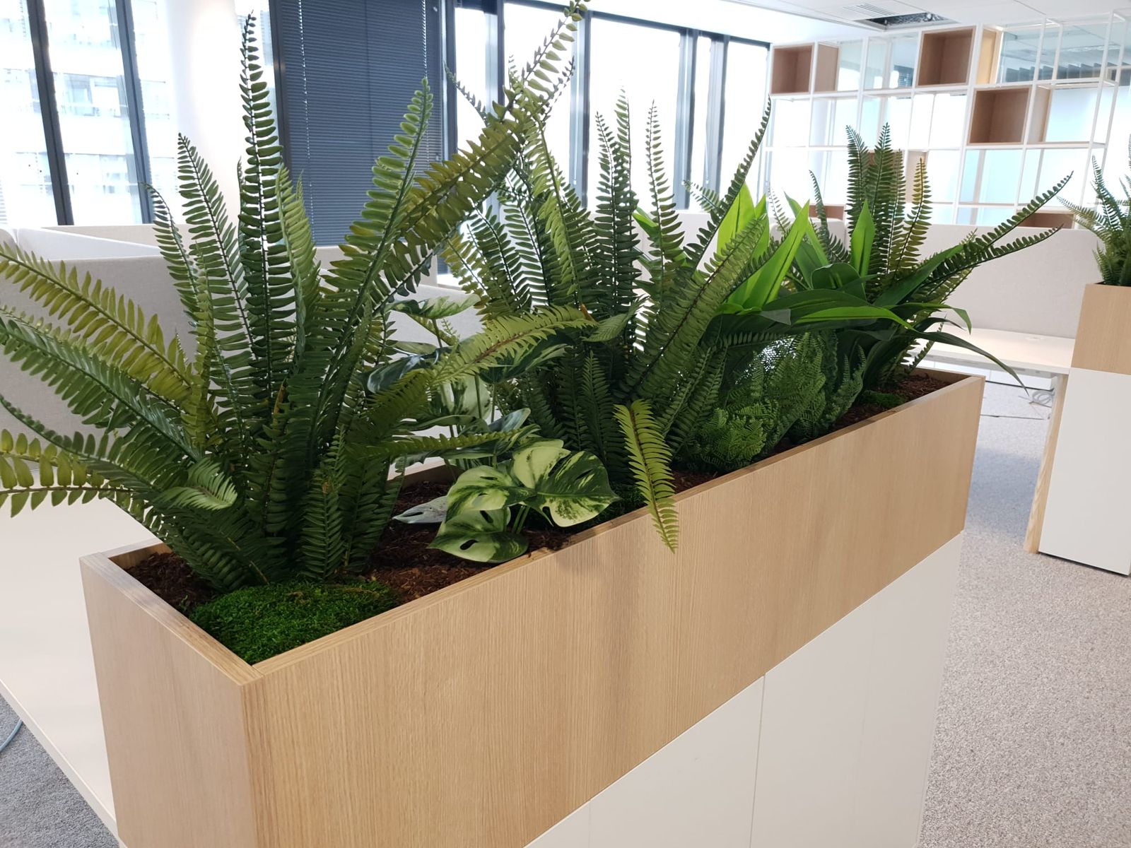 2023 – INTERVAAL – ANTHEMIS – Lyon Part-Dieu