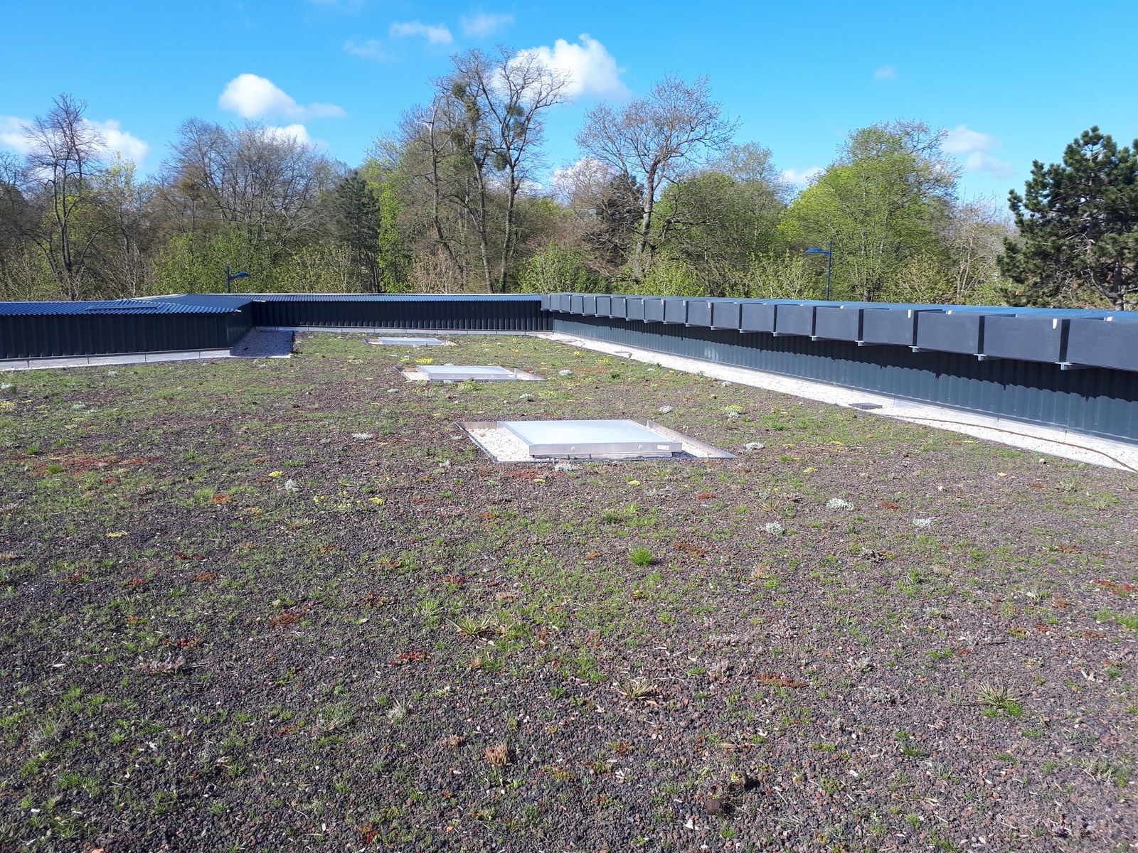 2018/2019 – EPARECA ABBAYE – Dammarie les lys